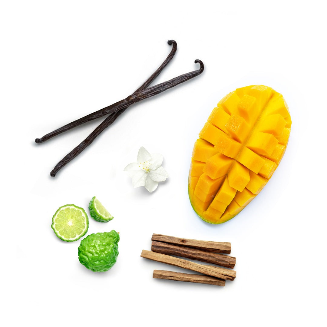 MANGO FUSION