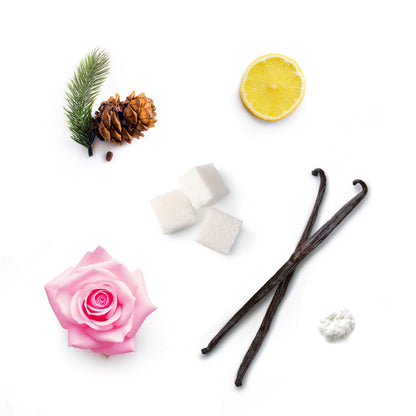 SUGAR ROSE